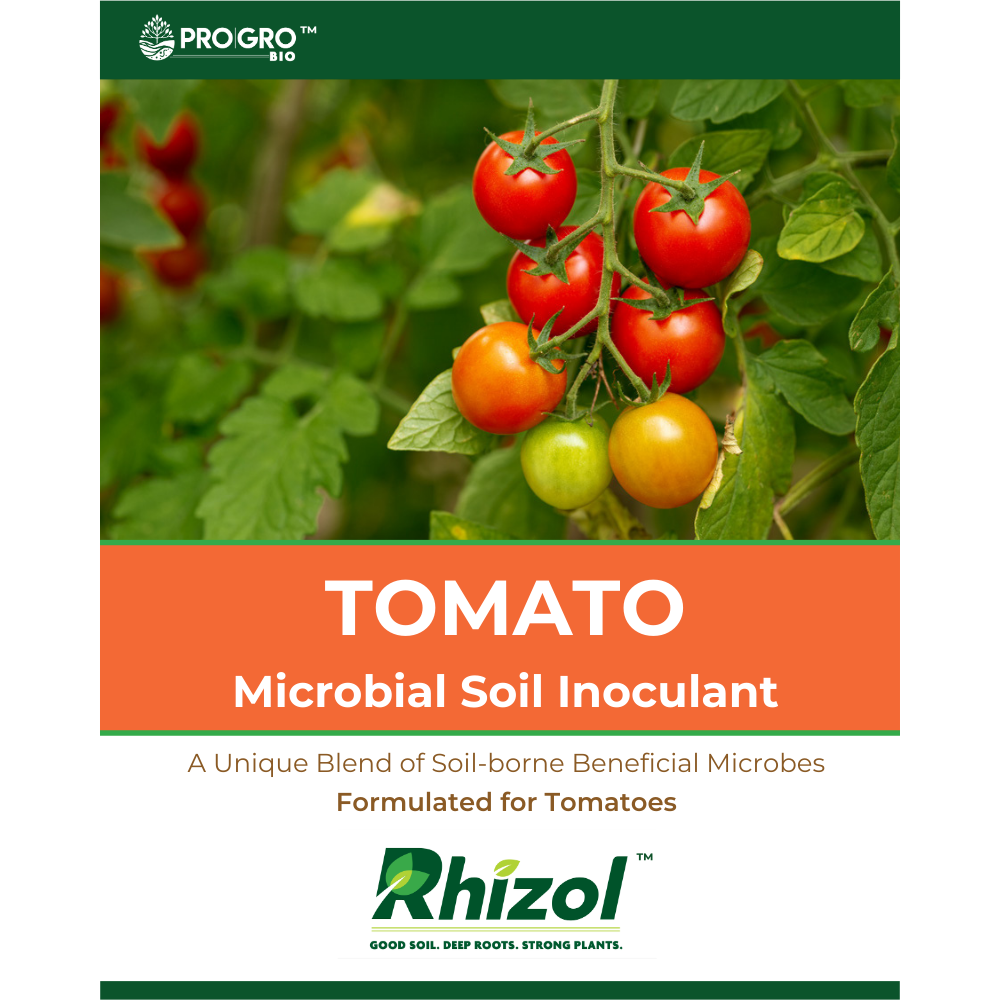 Rhizol Tomato - Dissolvable Microbial Soil Inoculant