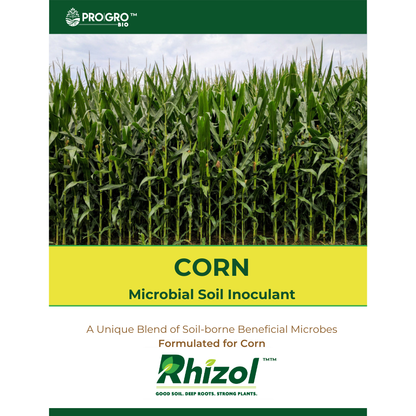 Rhizol Corn - Dissolvable Microbial Soil Inoculant