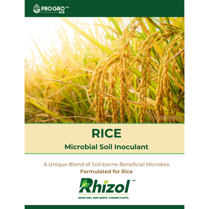 Rhizol Rice - Dissolvable Microbial Soil Inoculant