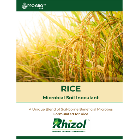 Rhizol Rice - Dissolvable Microbial Soil Inoculant