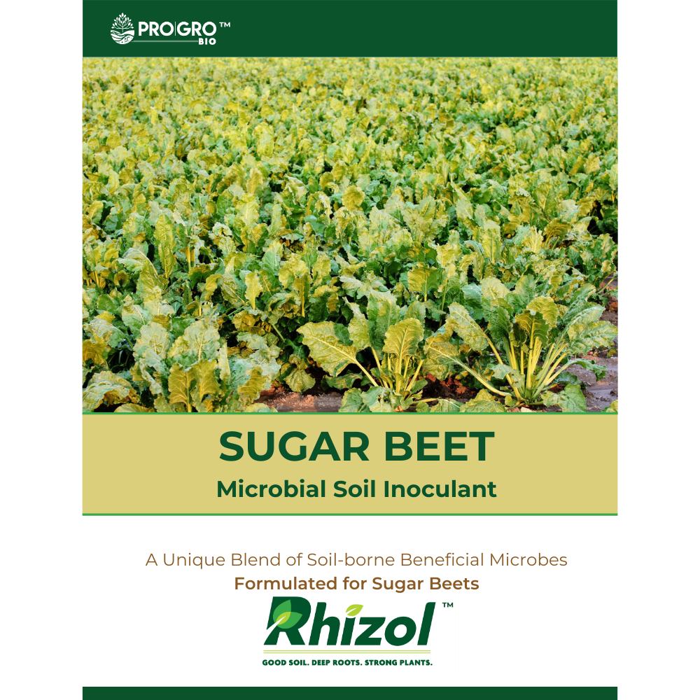 Rhizol Sugar Beet - Dissolvable Microbial Soil Inoculant