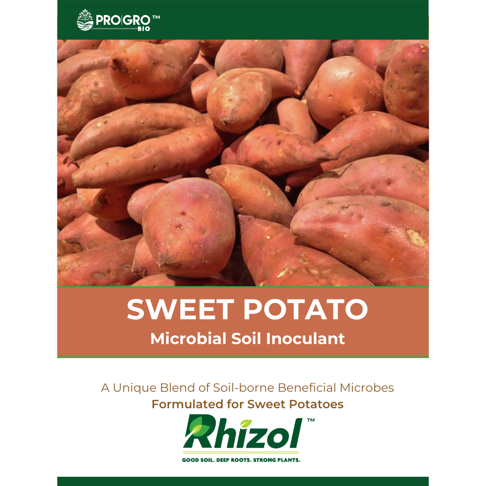 Rhizol Sweet Potato - Dissolvable Microbial Soil Inoculant