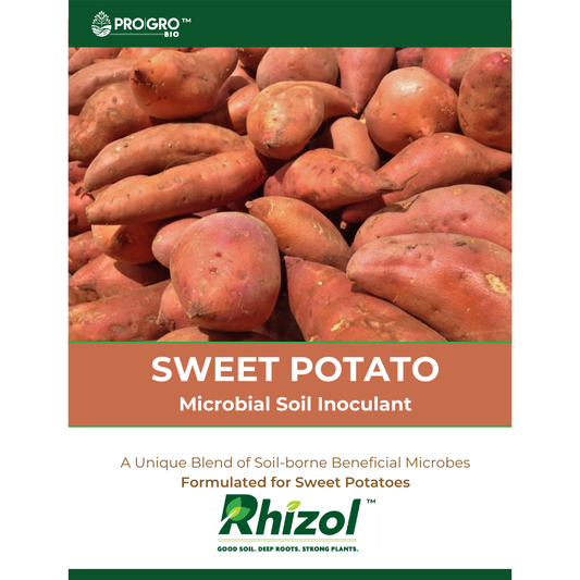 Rhizol Sweet Potato - Dissolvable Microbial Soil Inoculant