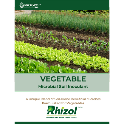 Rhizol Vegetable - Dissolvable Microbial Soil Inoculent