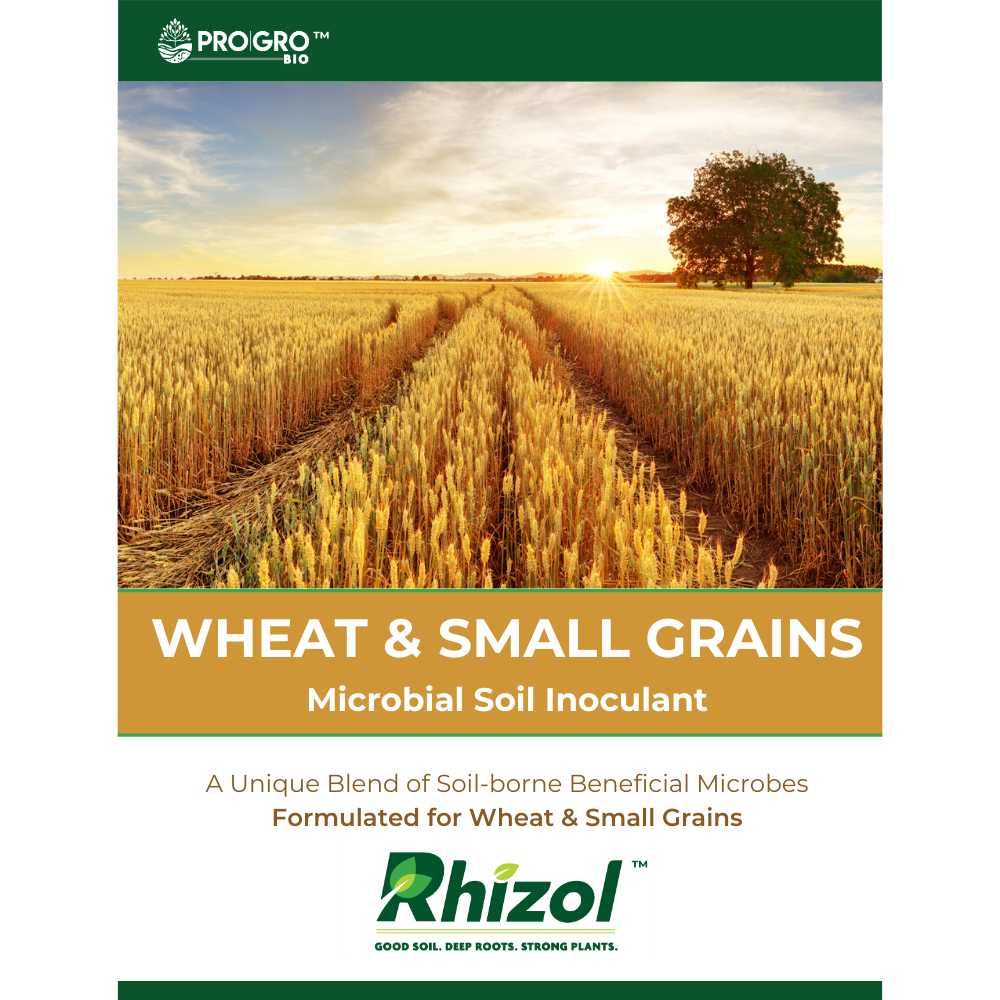 Rhizol Wheat - Dissolvable Microbial Soil Inoculant