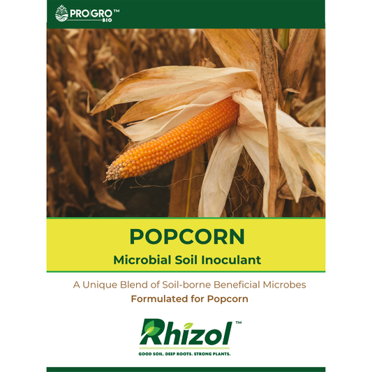 Rhizol Popcorn - Dissolvable Microbial Soil Inoculant