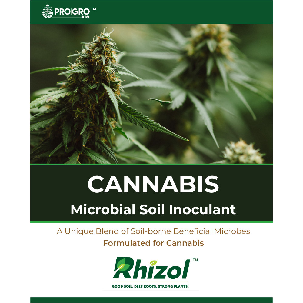 Rhizol Cannabis - Dissolvable Microbial Soil Inoculant