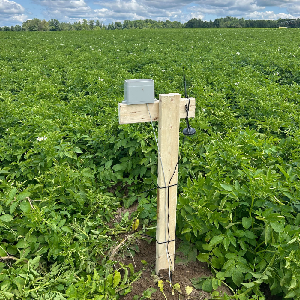 Soiltech Beacon Rain Gauge